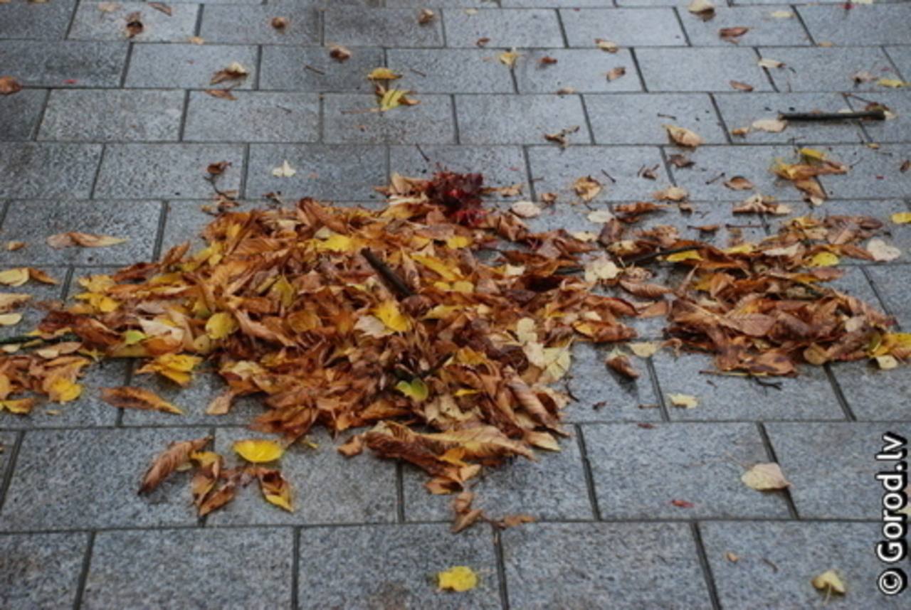 фото: gorod.lv