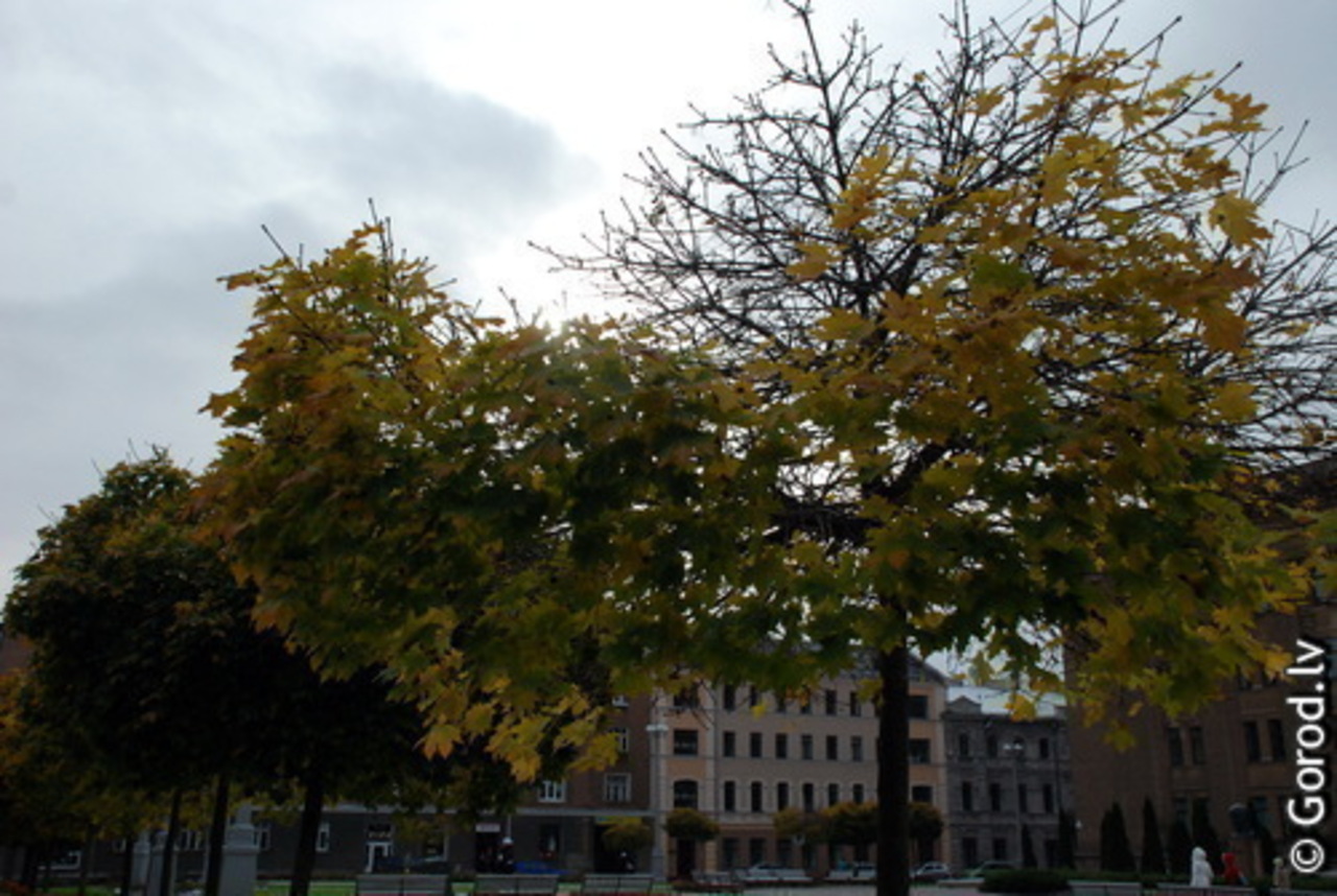 foto: lat.gorod.lv