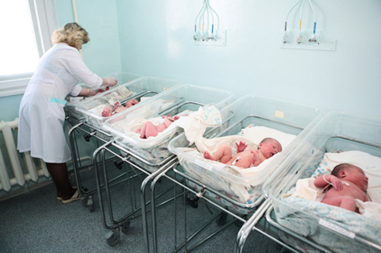 foto: shutterstock.com