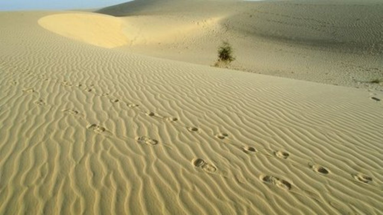 foto: bbc.co.uk