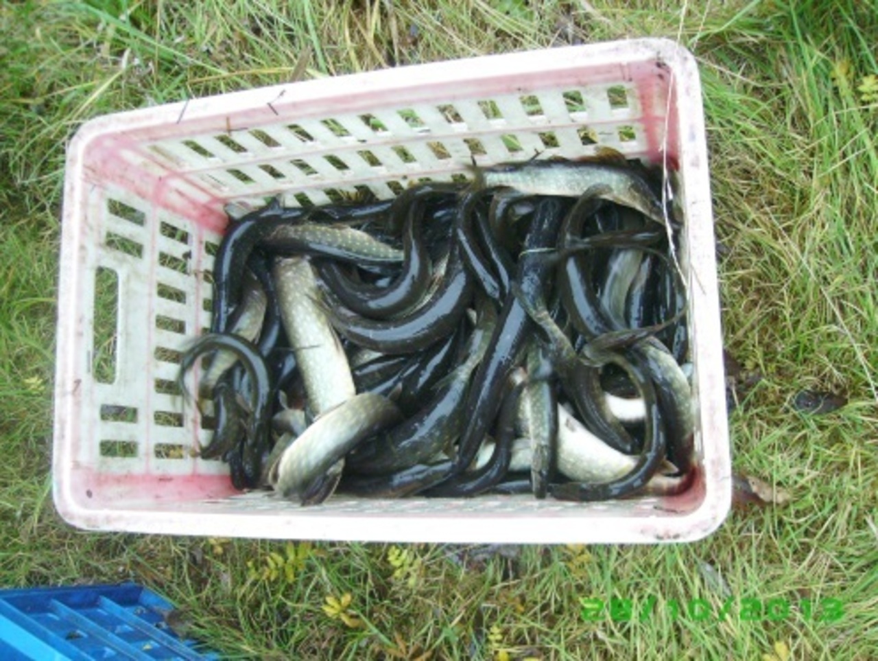 foto: ludza.lv