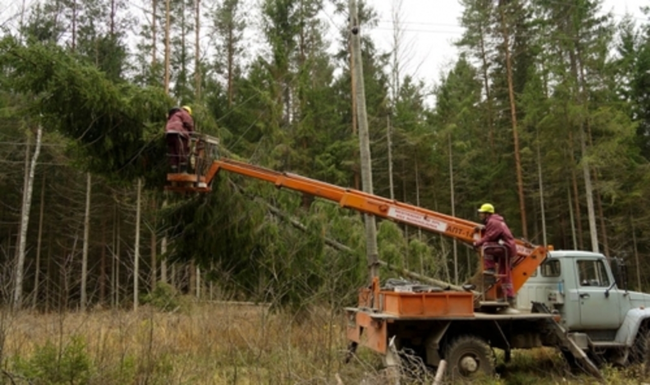 foto: "Sadales tīkli"