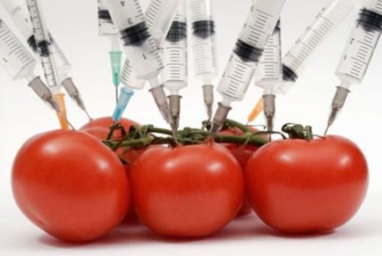 foto: grainexpert.ru