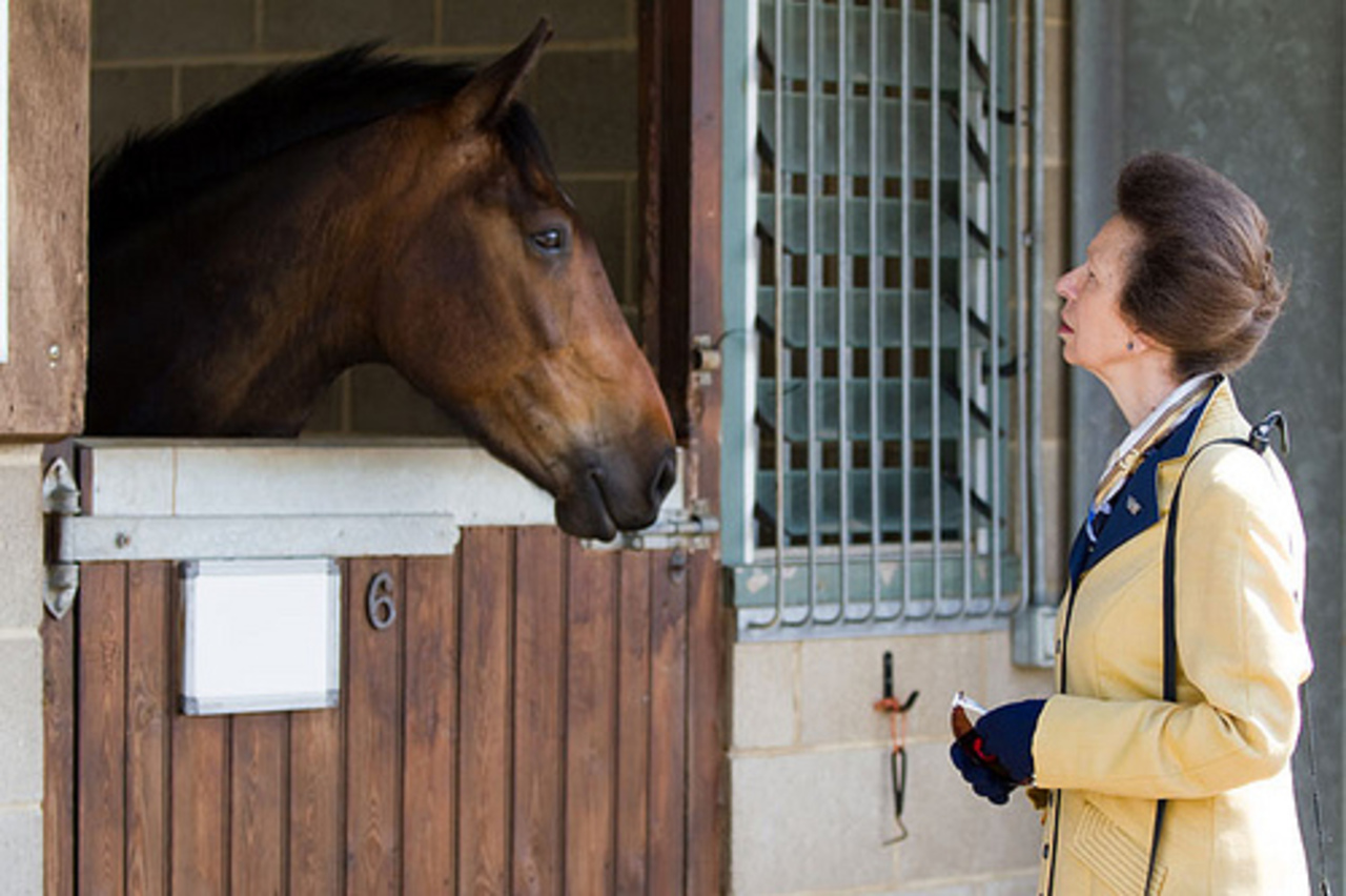 foto: highoffleystud.co.uk