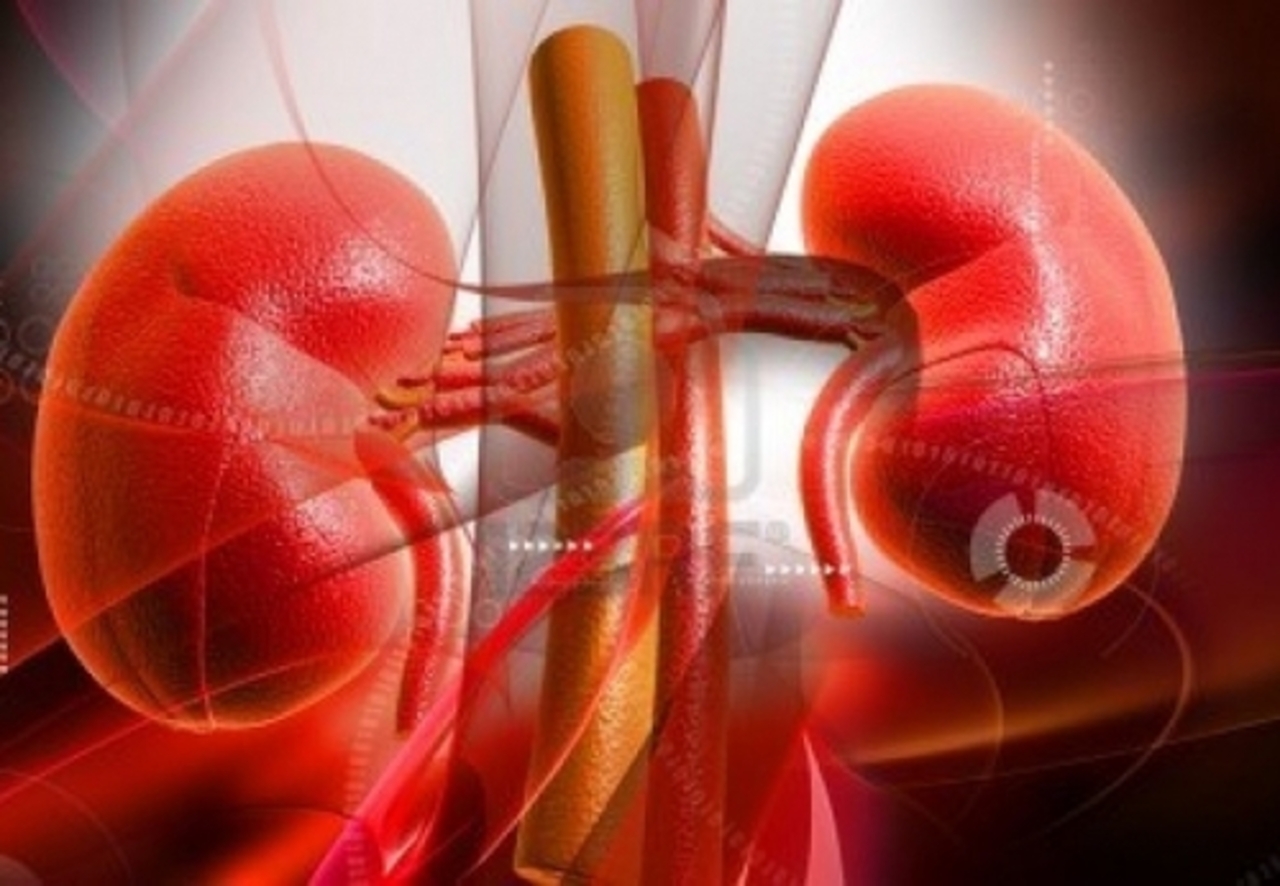 foto: 123rf.com