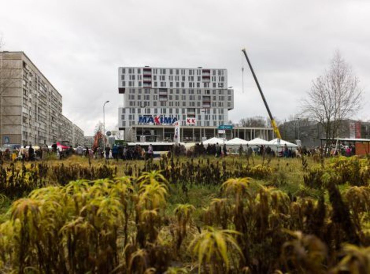 foto: mixnews.lv
