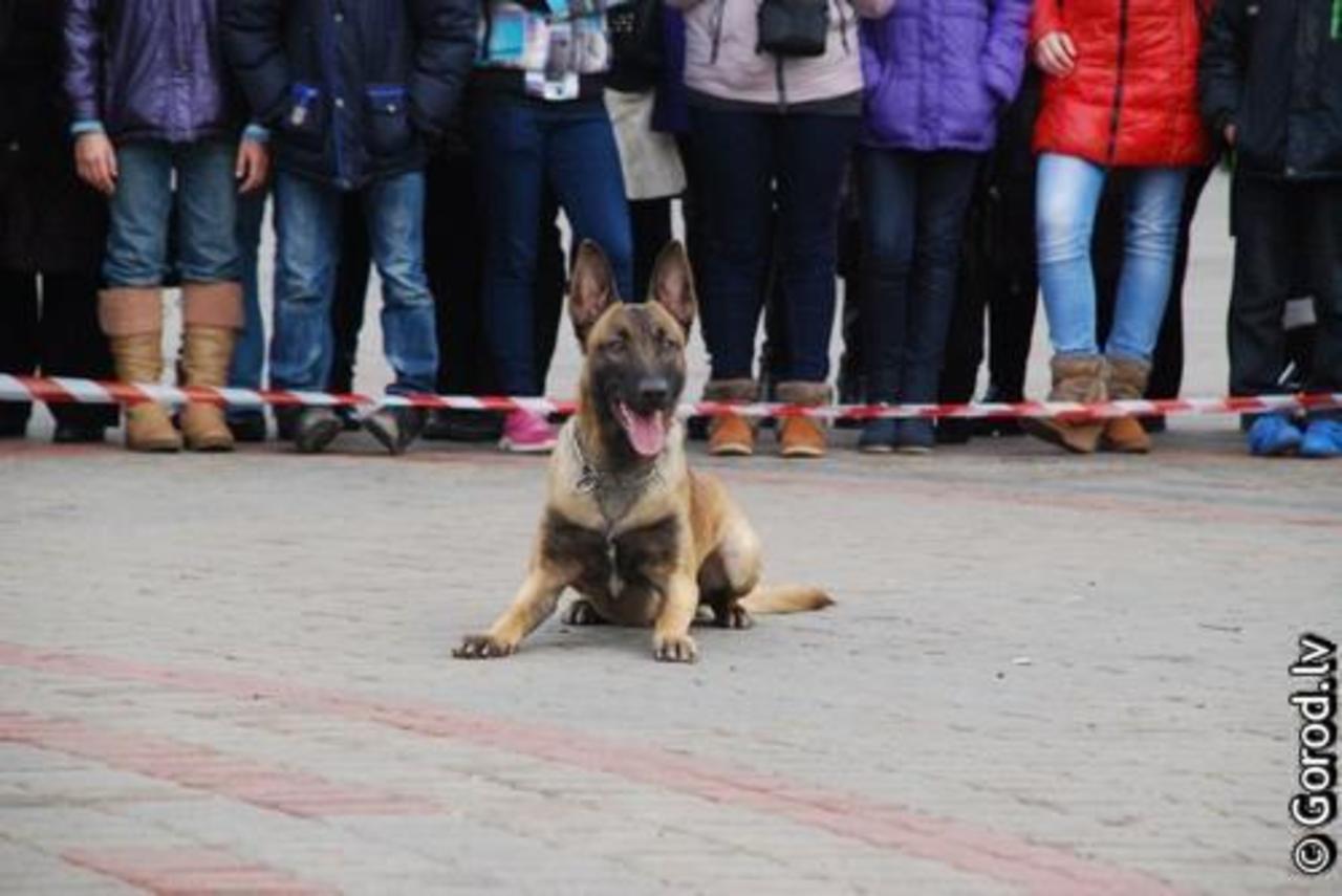 foto: lat.gorod.lv