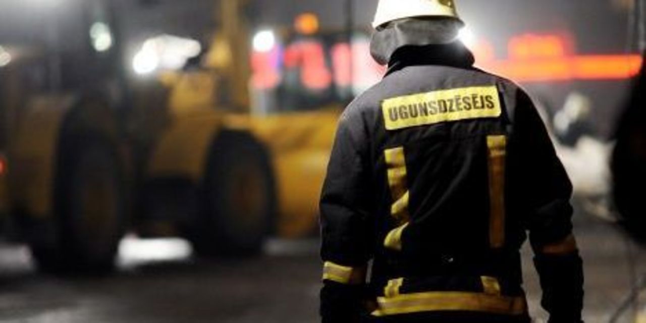фото: bnn-news.ru