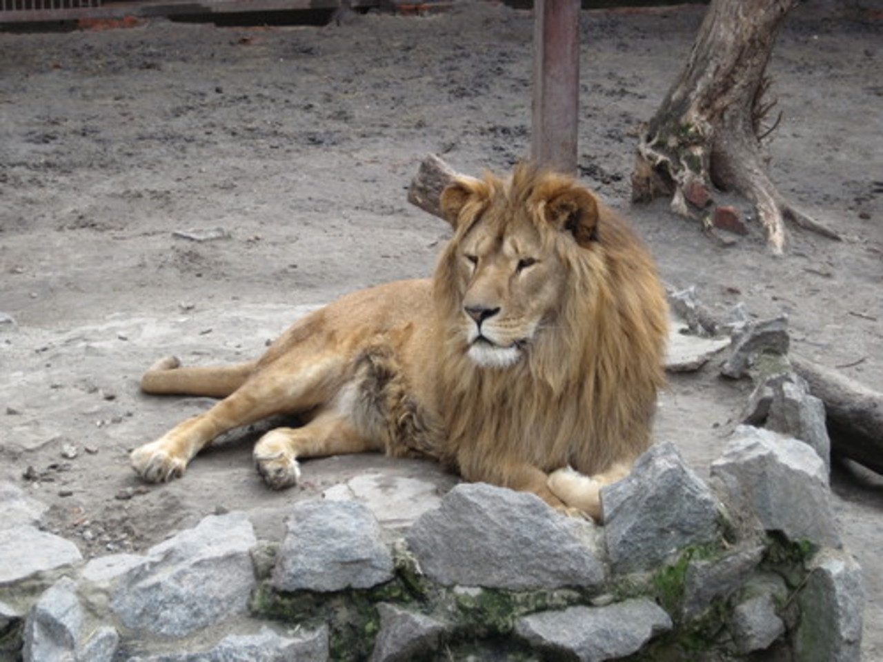 foto: wikipedia.org