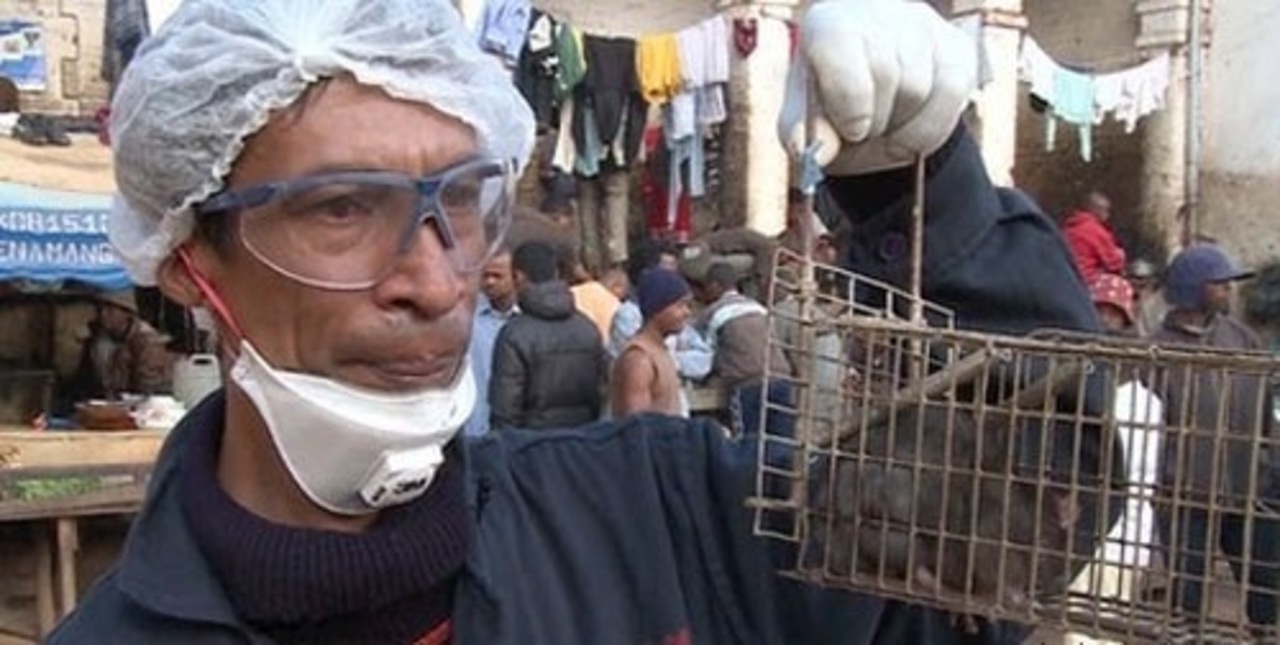 foto: kakmed.com