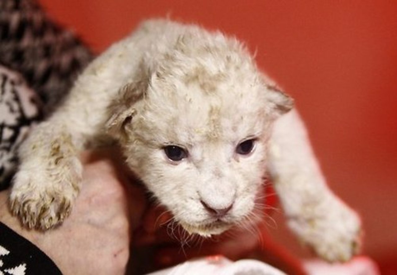 foto: Reuters