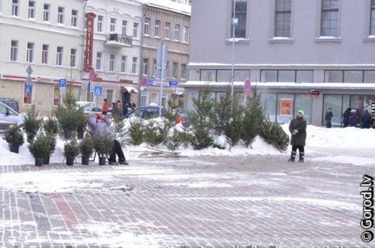фото: gorod.lv