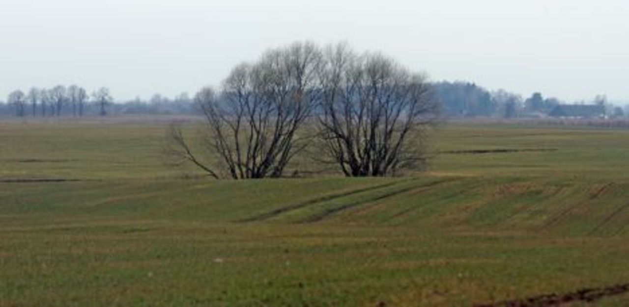foto: bnn.lv