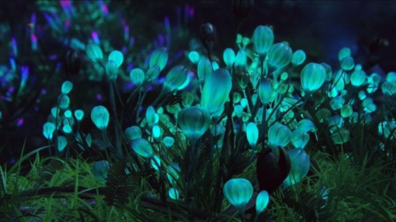 foto: full-hd-oboi.ucoz.ru
