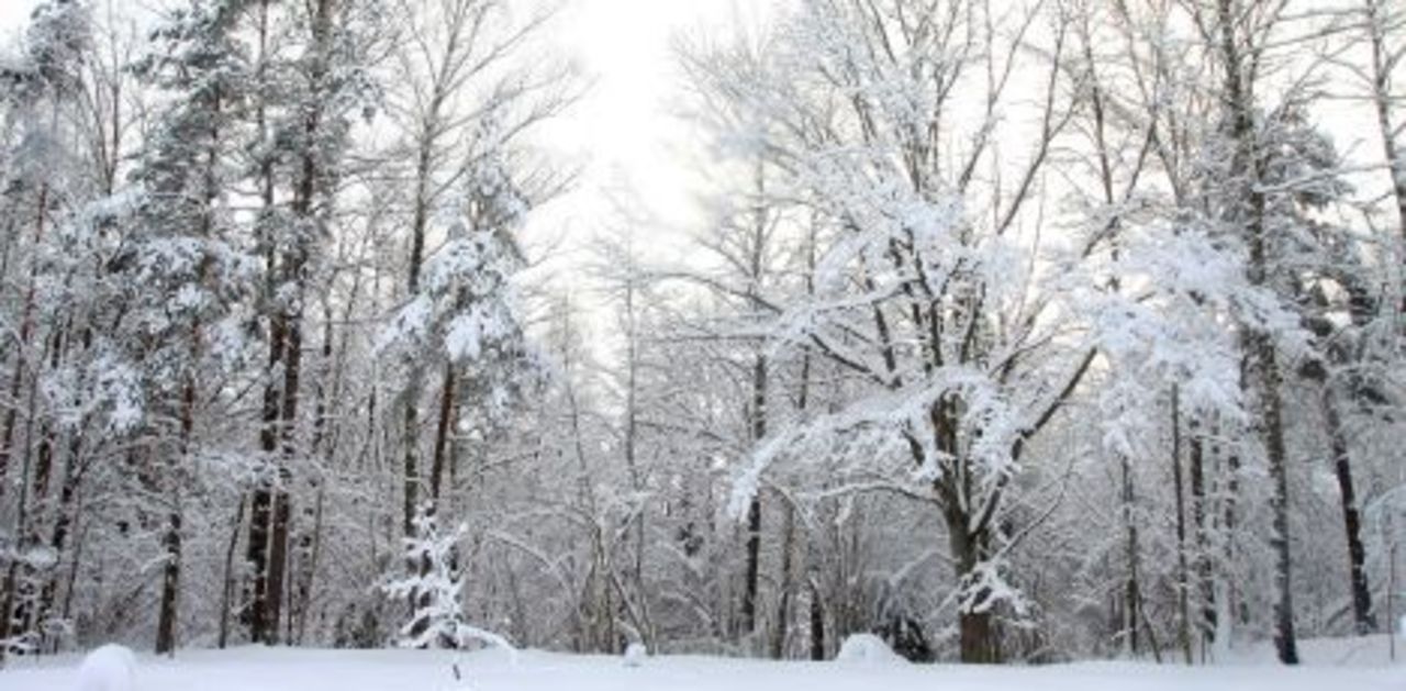 foto: bnn.lv