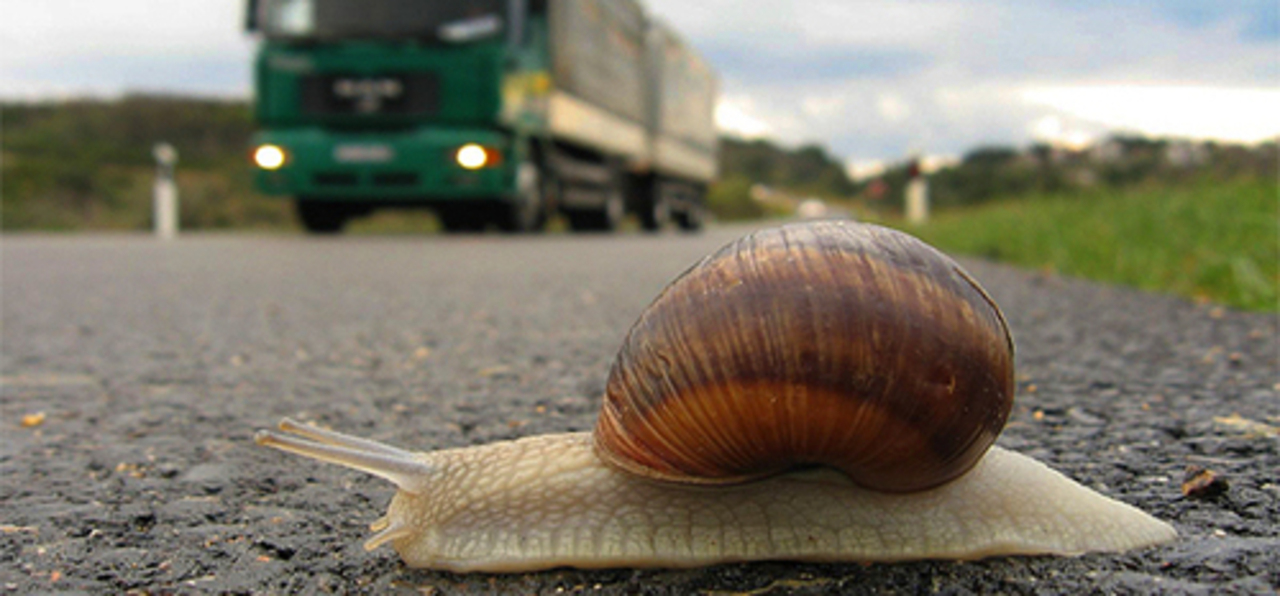 фото: autonews.ru