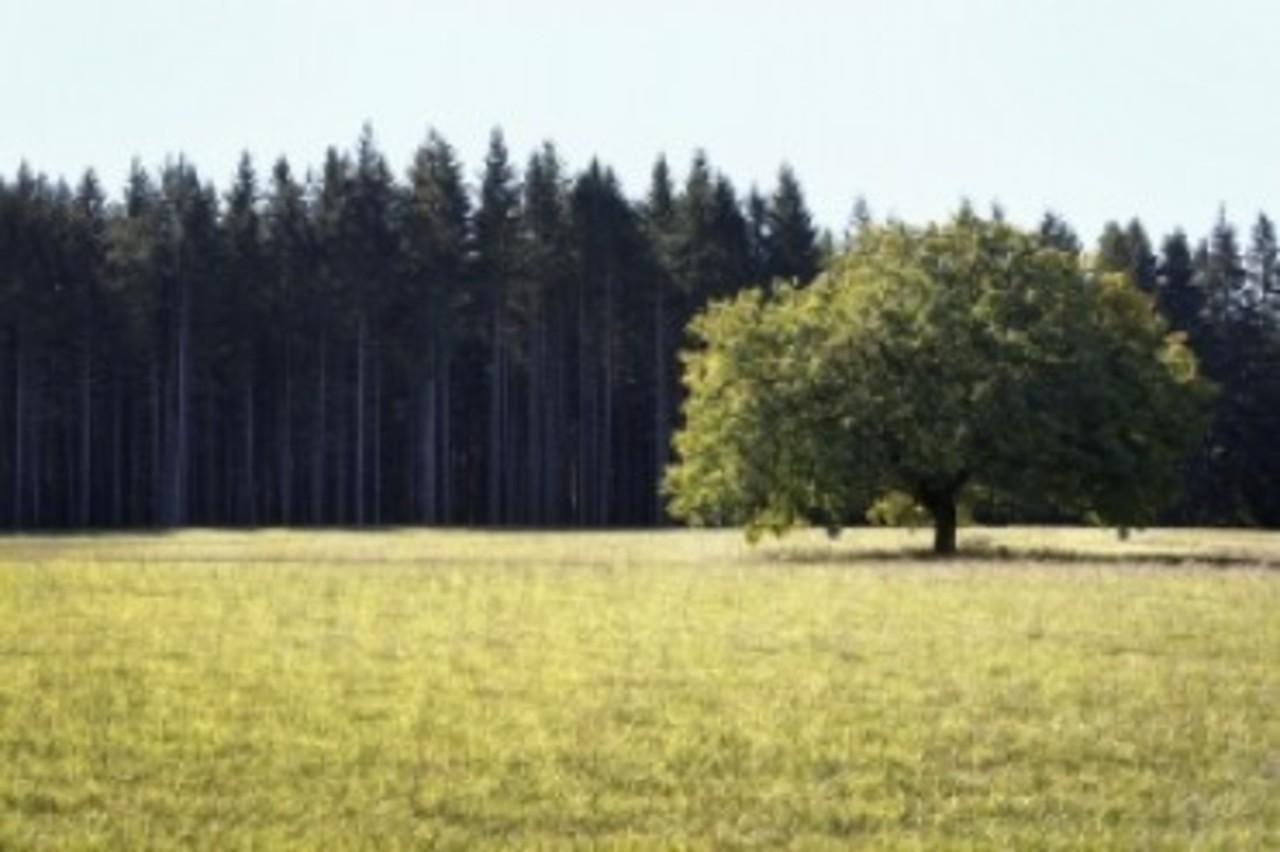 foto: db.lv