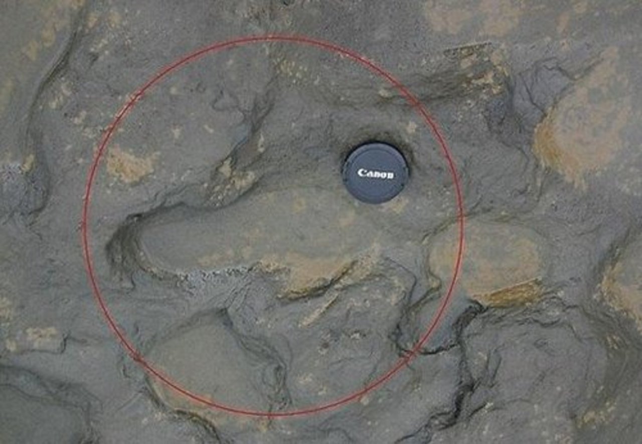 Publicitātes foto