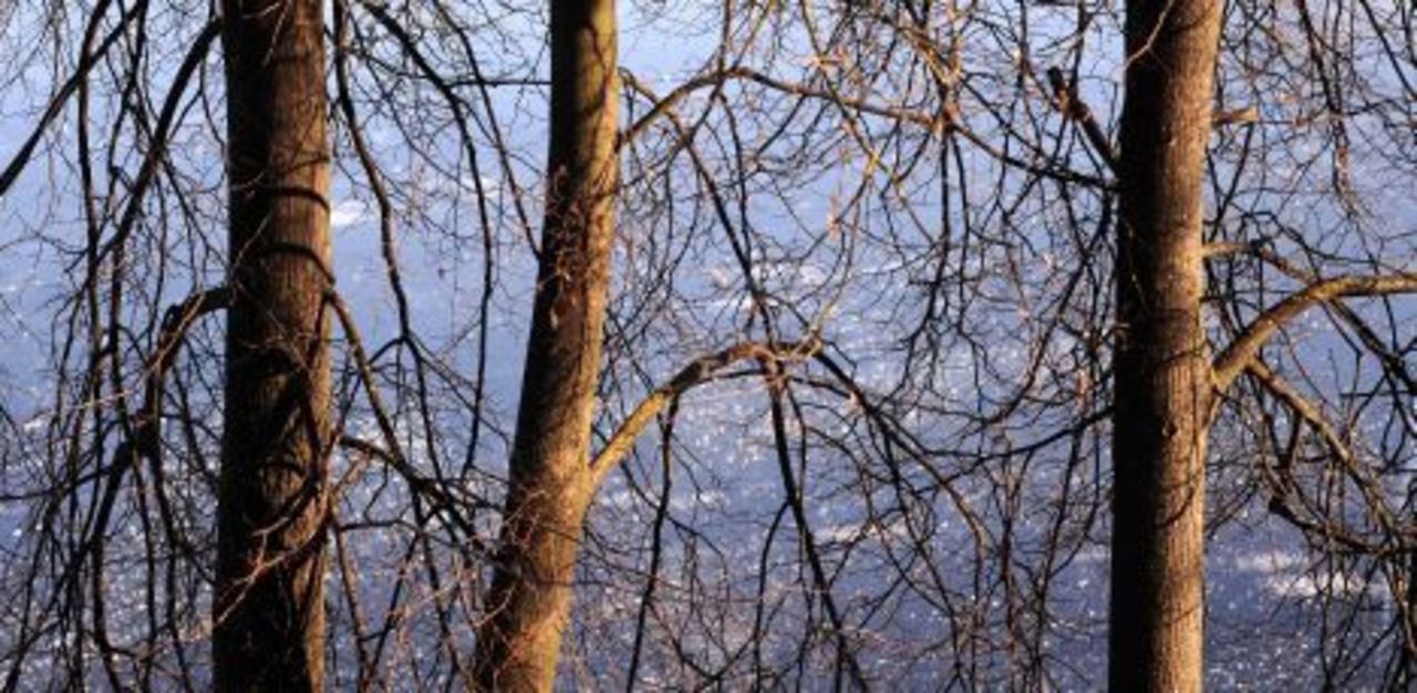 foto: bnn.lv