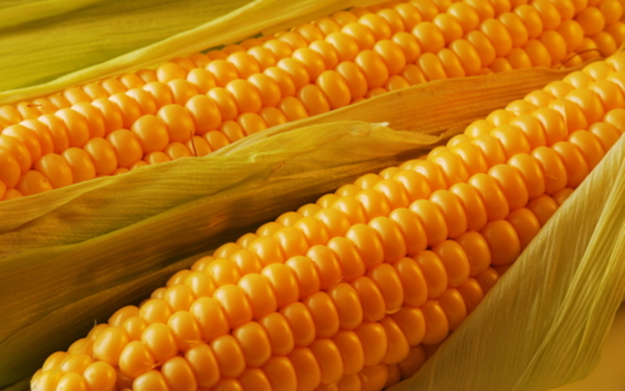 foto: minipedia.org.ua