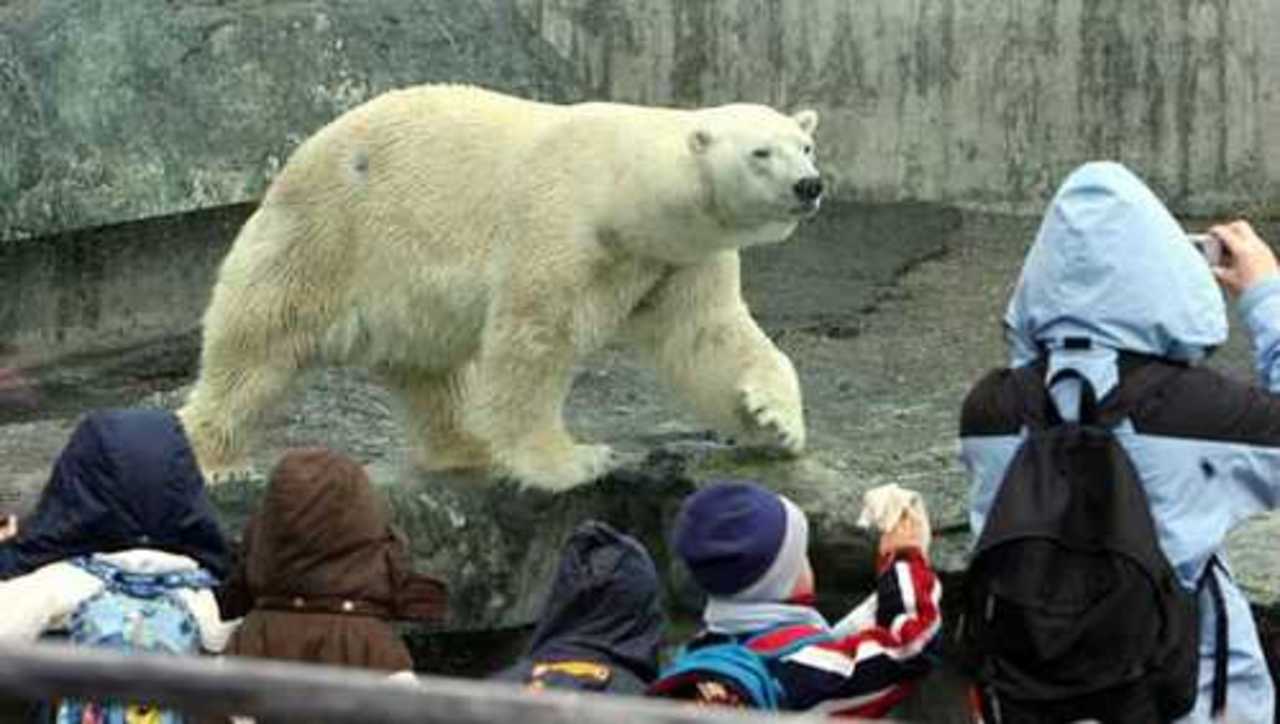 фото: dailymail.co.uk