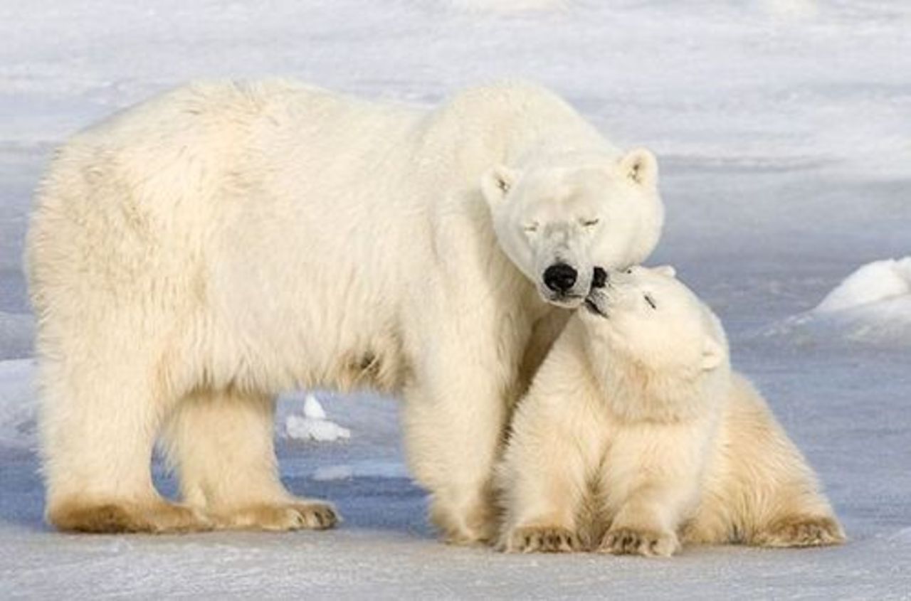 foto: darokeana.ru