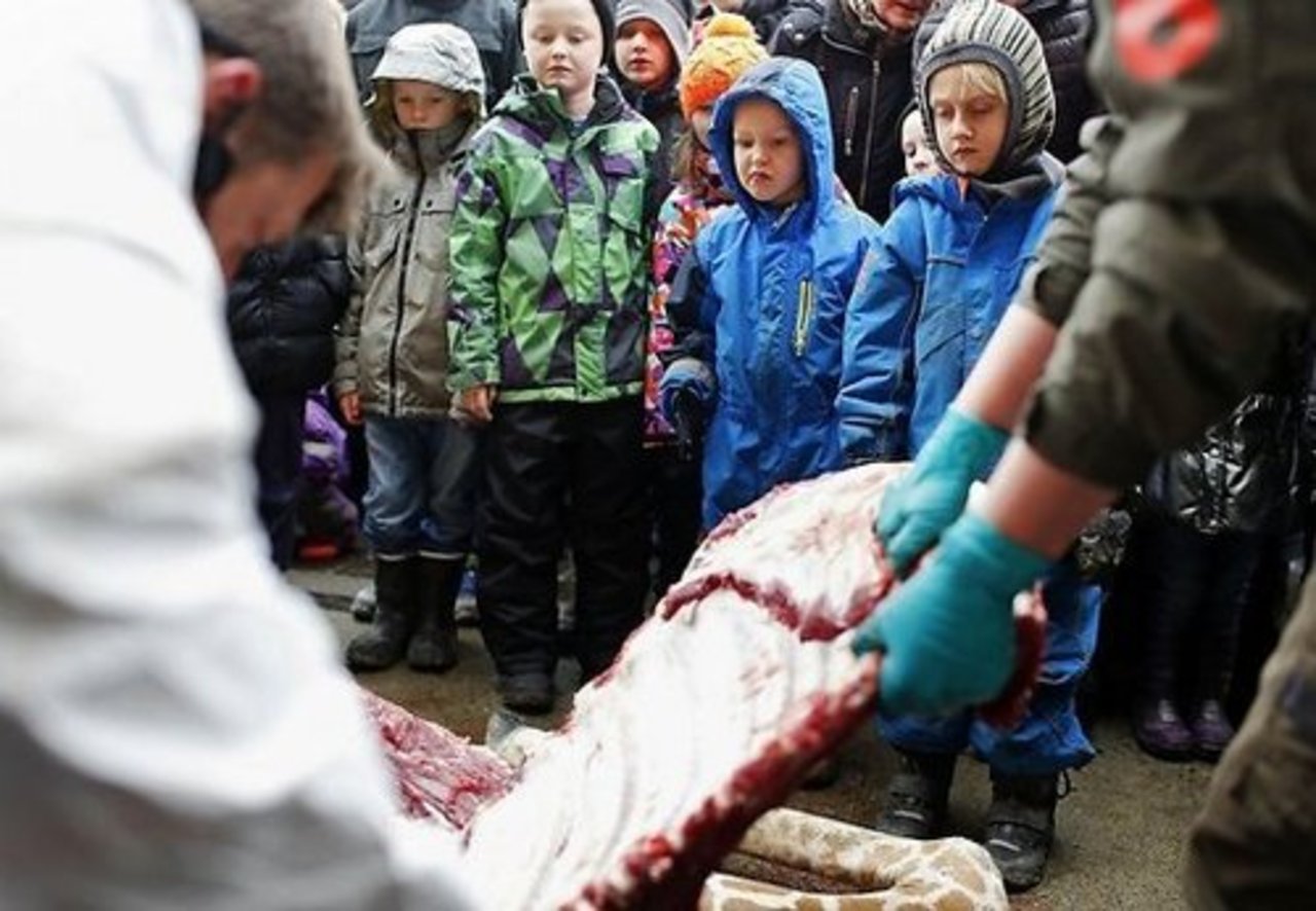 foto: AP/scanpix