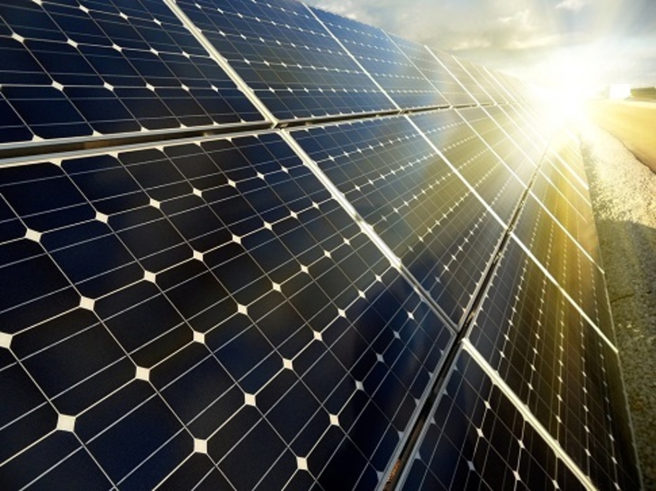 фото: greenevolution.ru