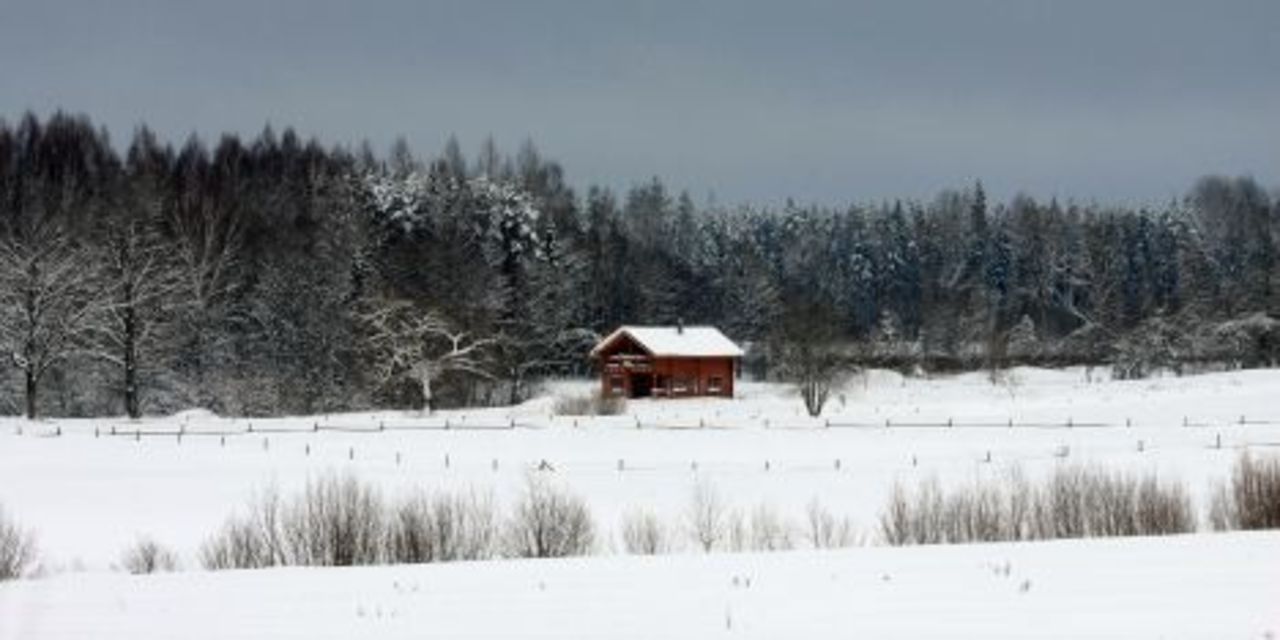 foto: bnn.lv