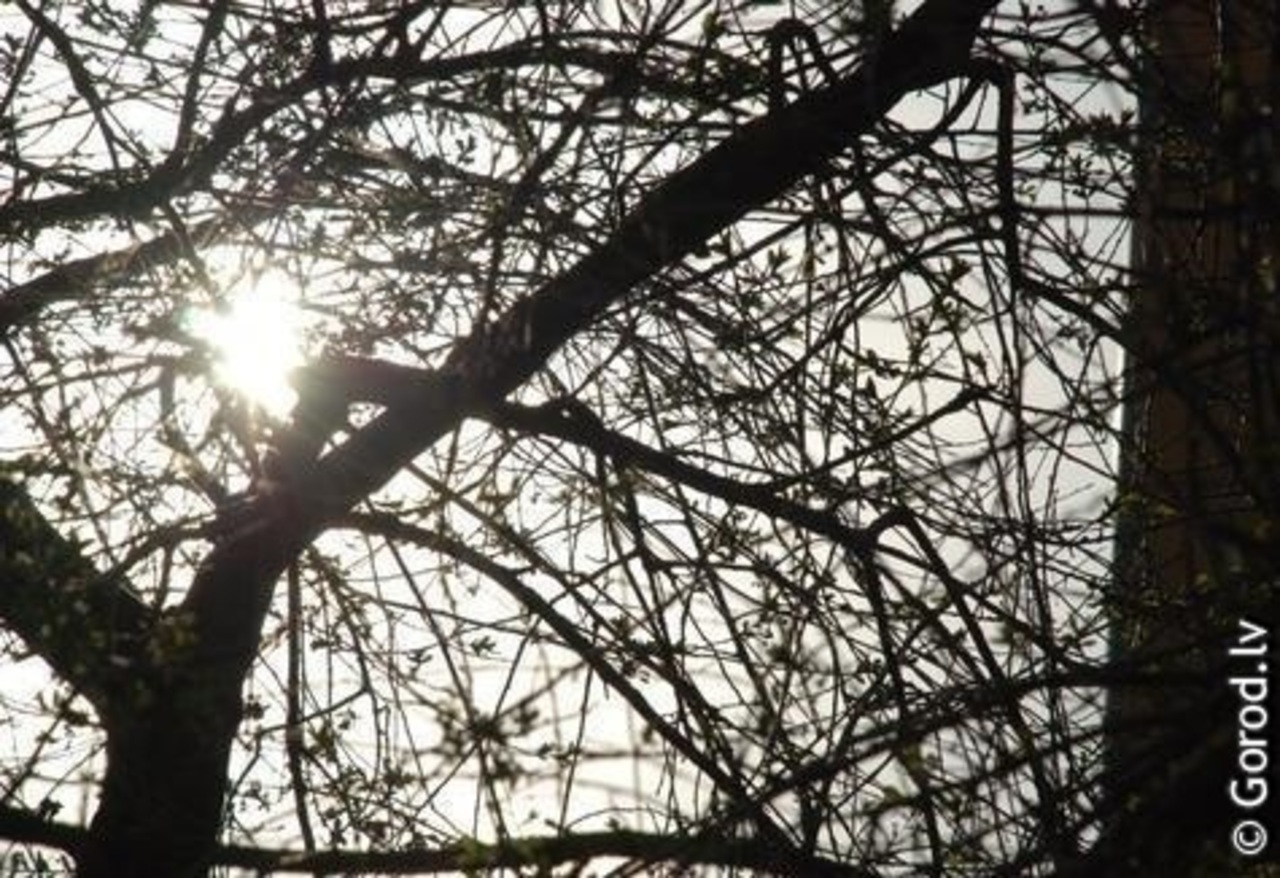 foto: lat.gorod.lv