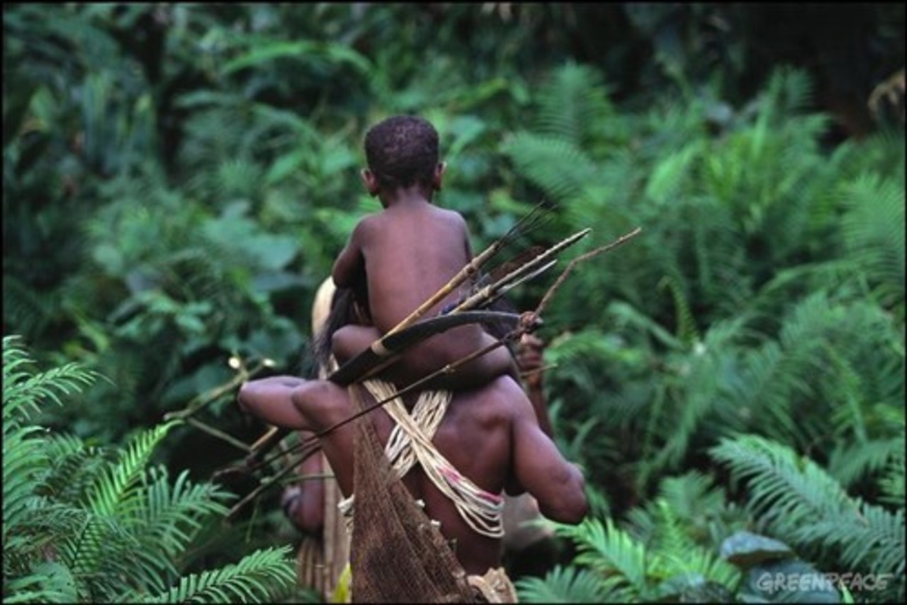 foto: greenpeace.org