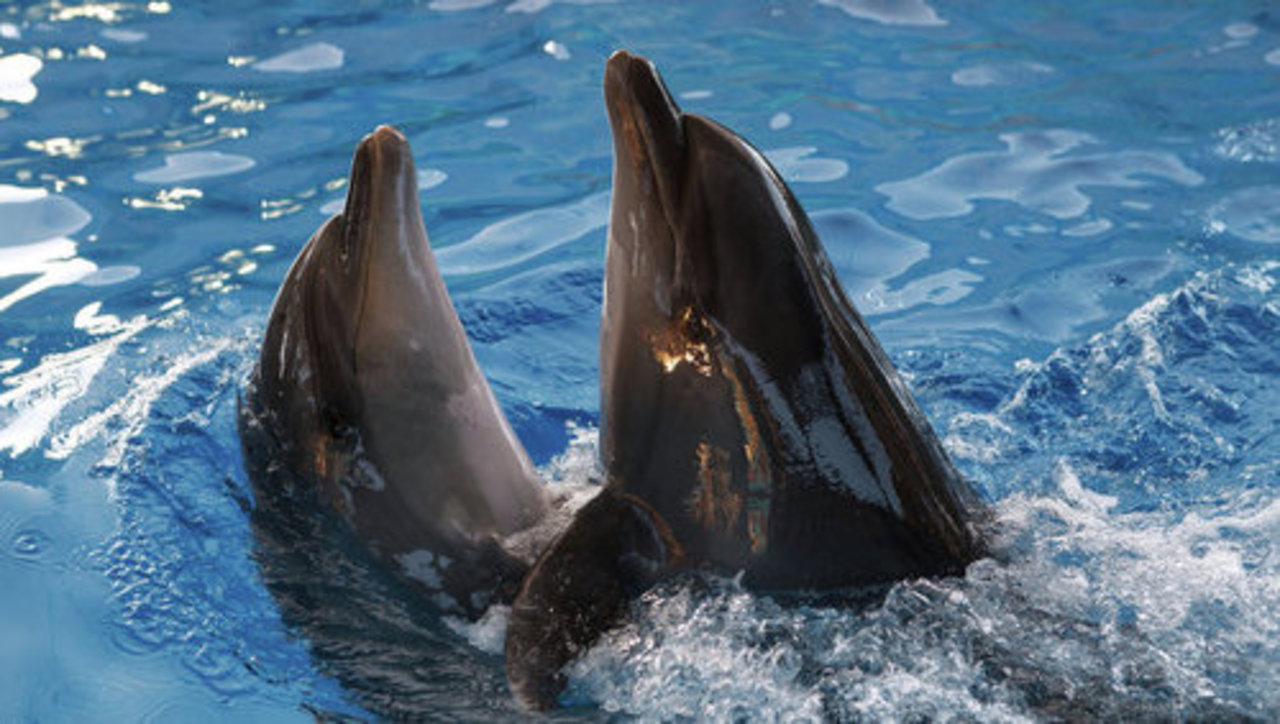 foto: ria.ru
