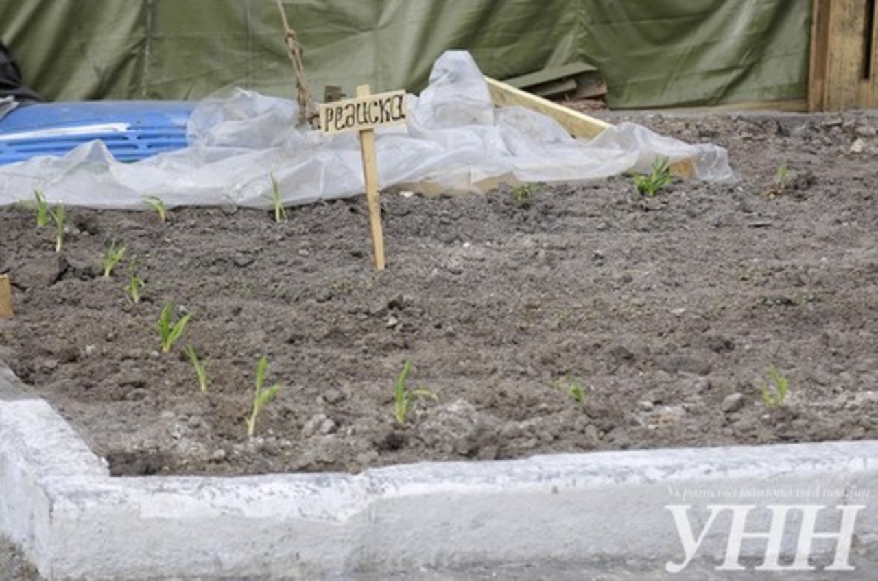 фото: ИА "Украинские Национальные Новости"