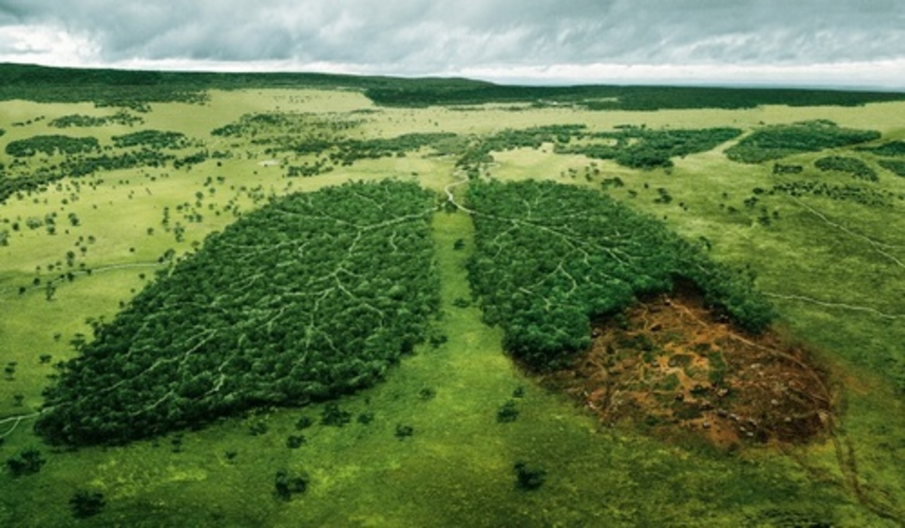 фото: wwf.org