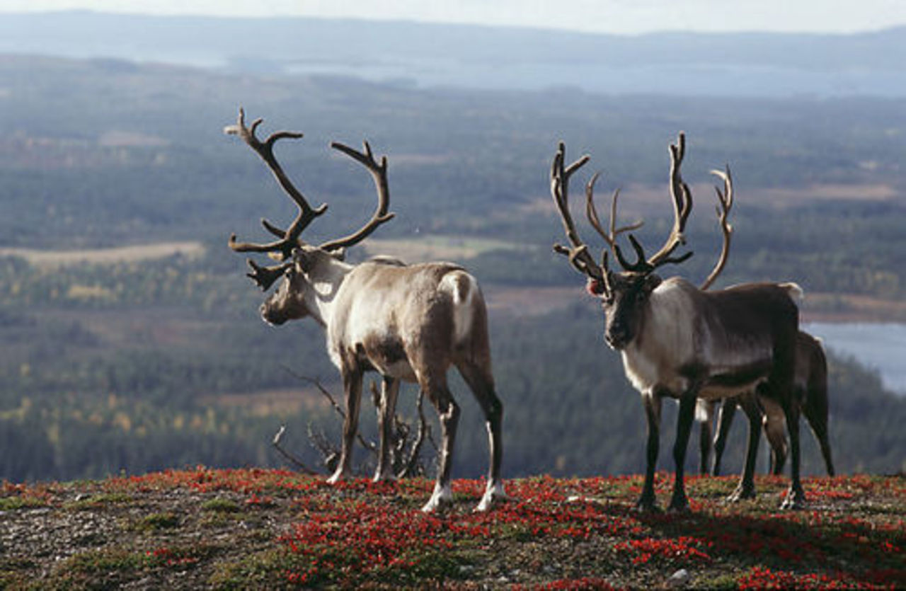 фото: intertour.ru