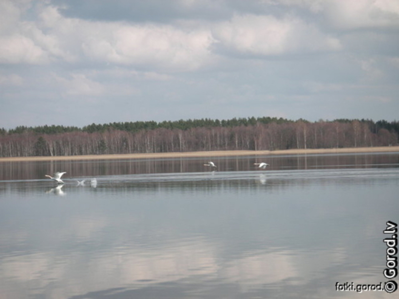 foto: lat.gorod.lv