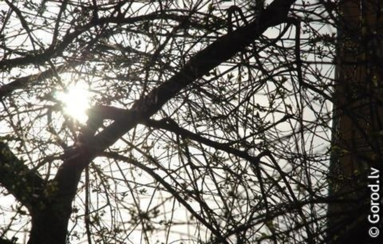foto: lat.gorod.lv