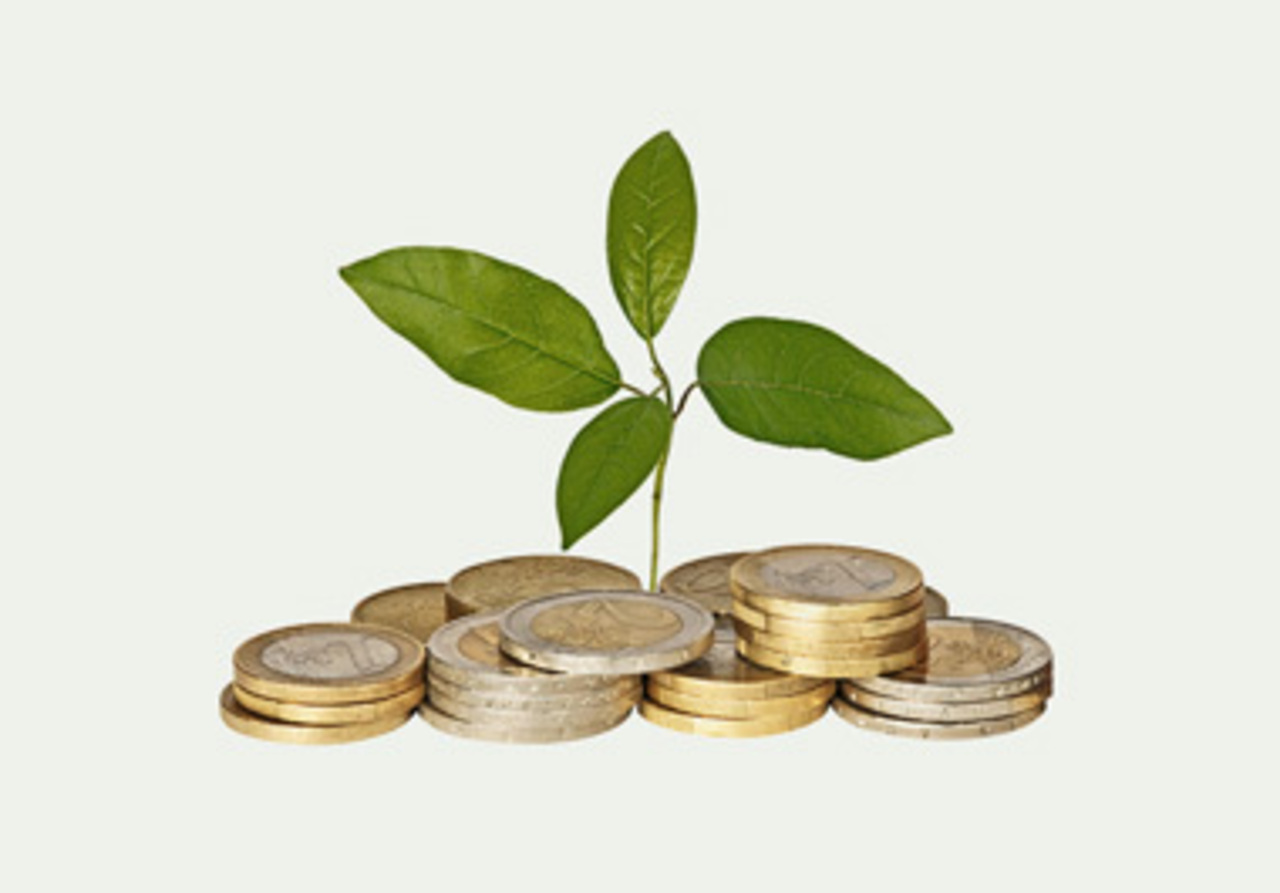 фото: alliancef.ru