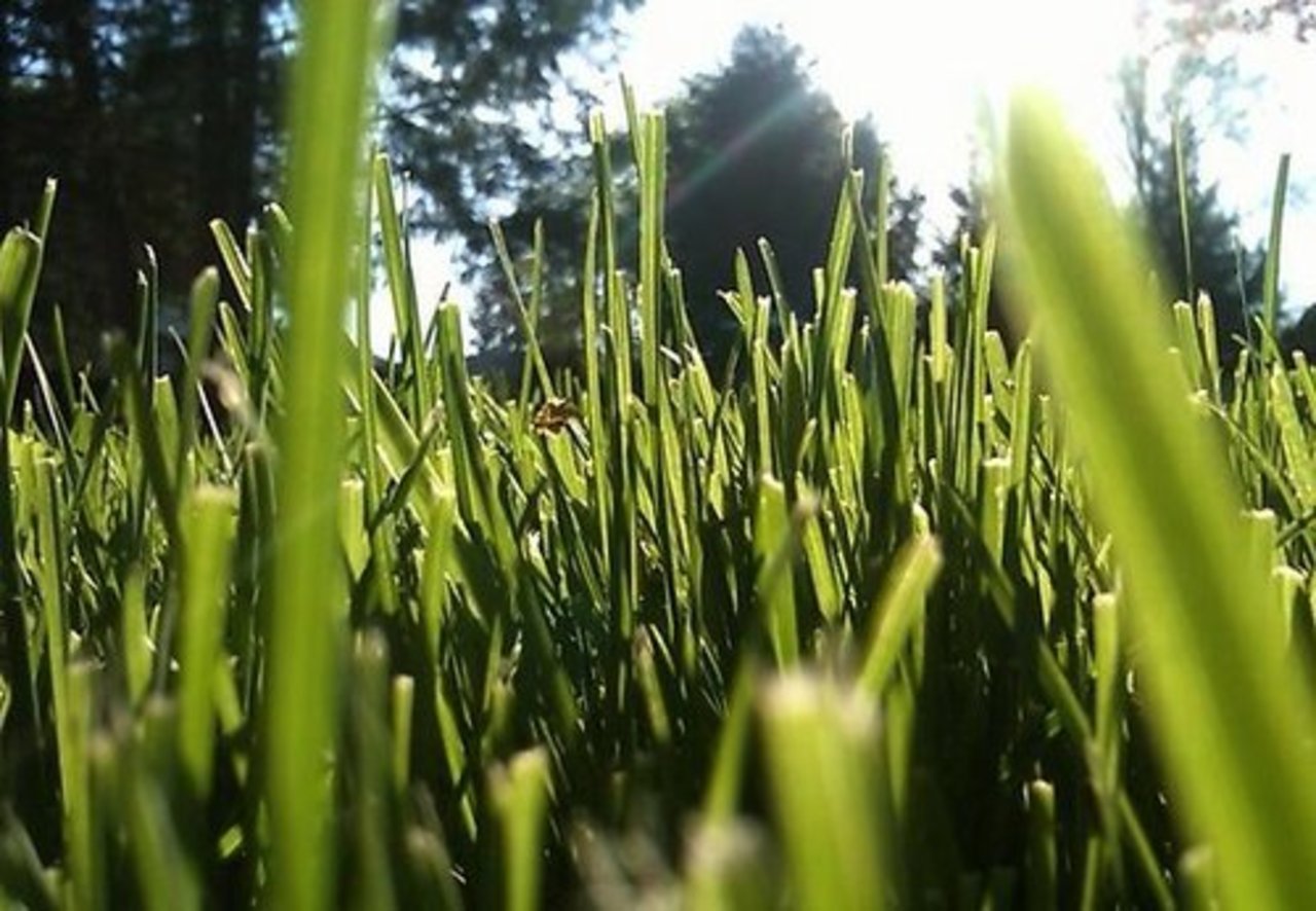 foto: delfi.lv