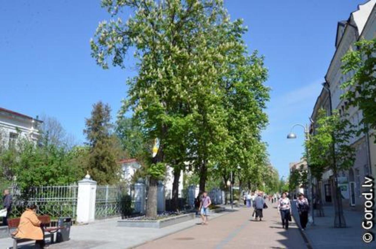фото: gorod.lv