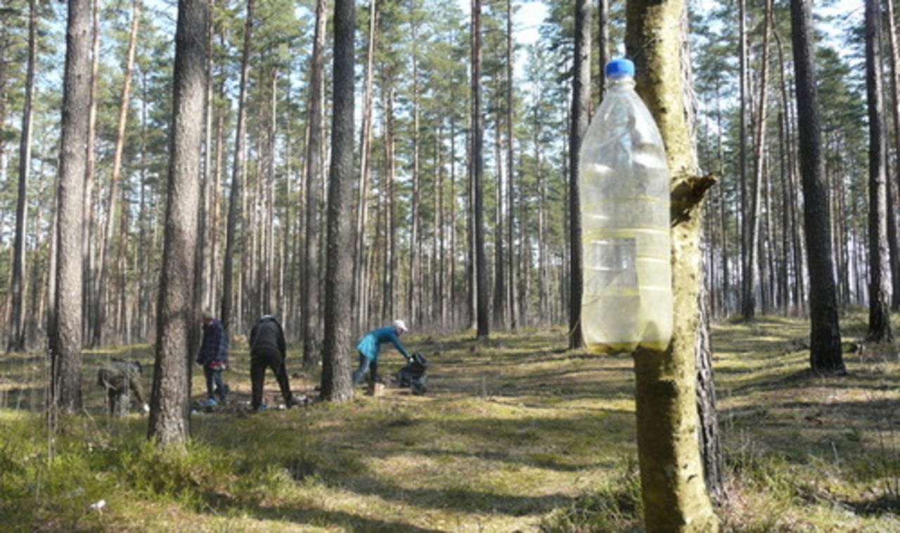 foto: lsm.lv