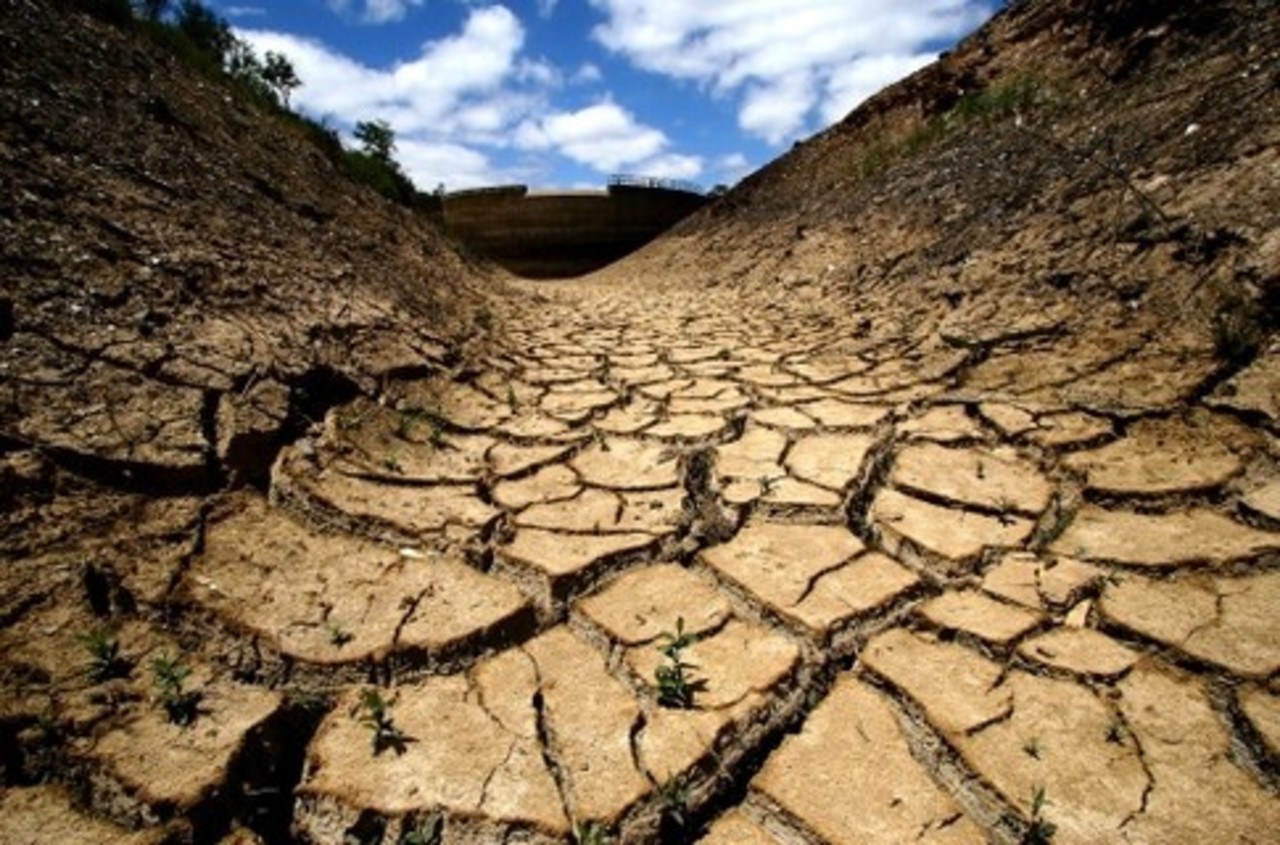 фото: 1qip1.com