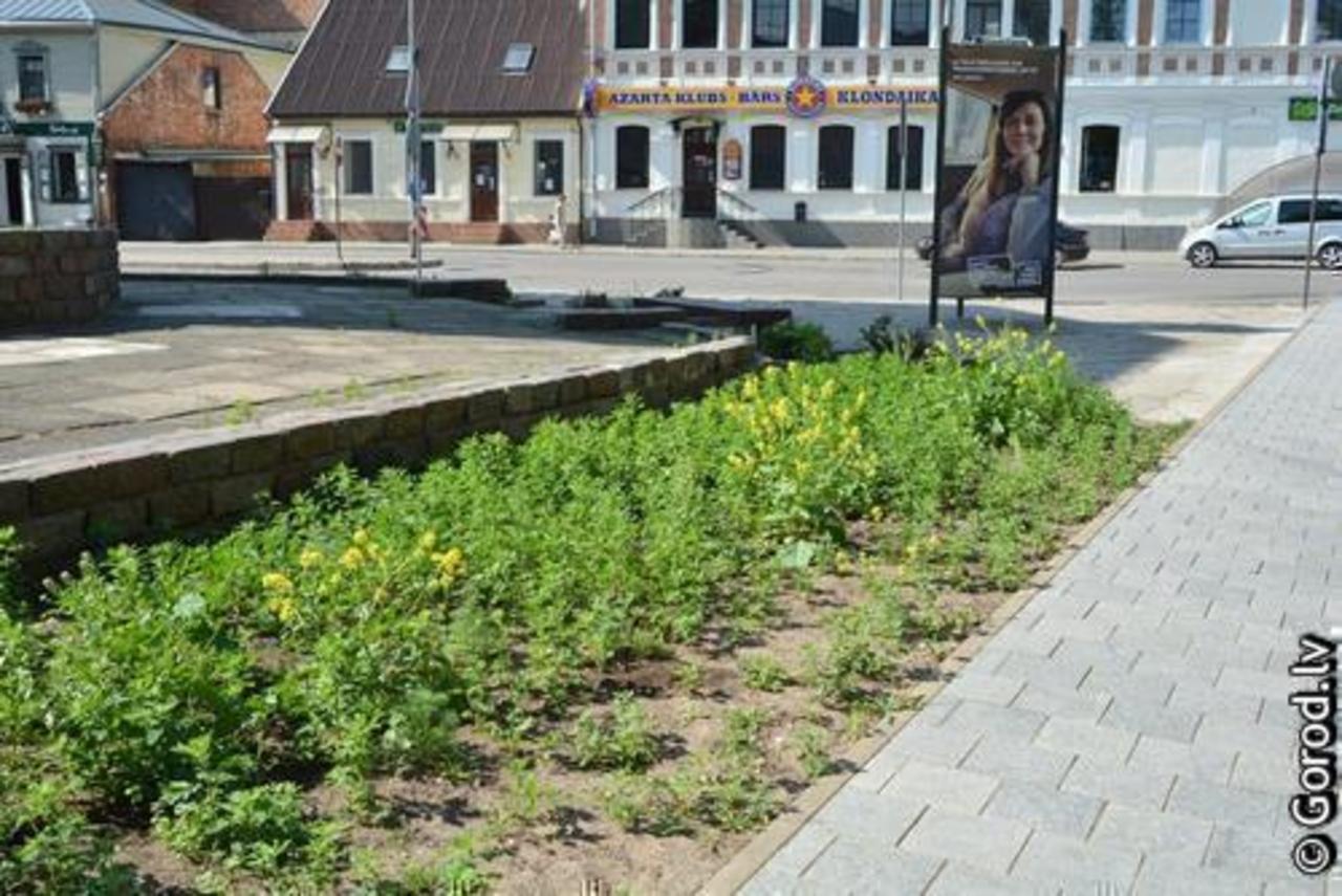 фото: gorod.lv