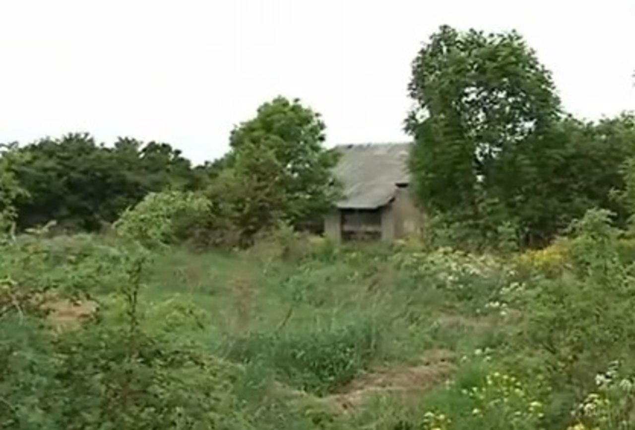 фото: скриншот видео