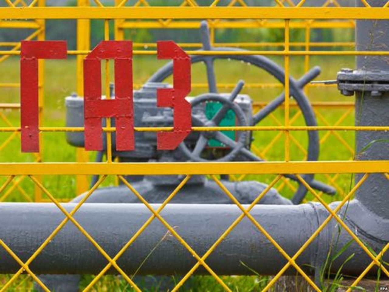 фото: svoboda.org