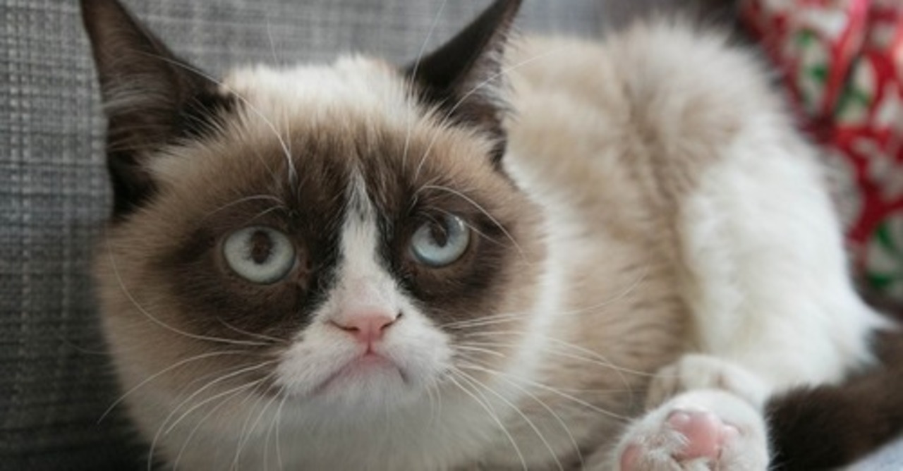 foto: mashable.com