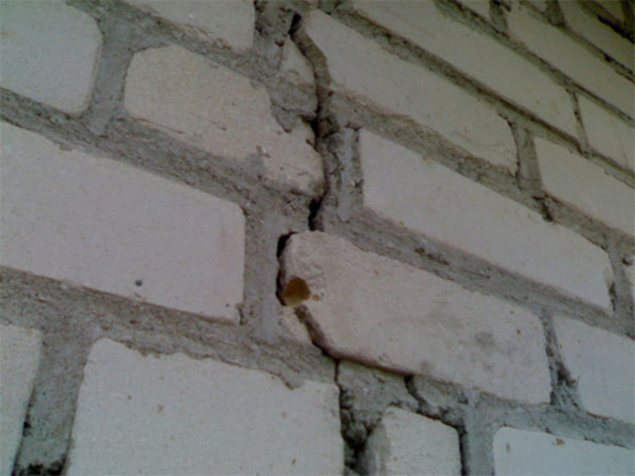 foto: domspline.com