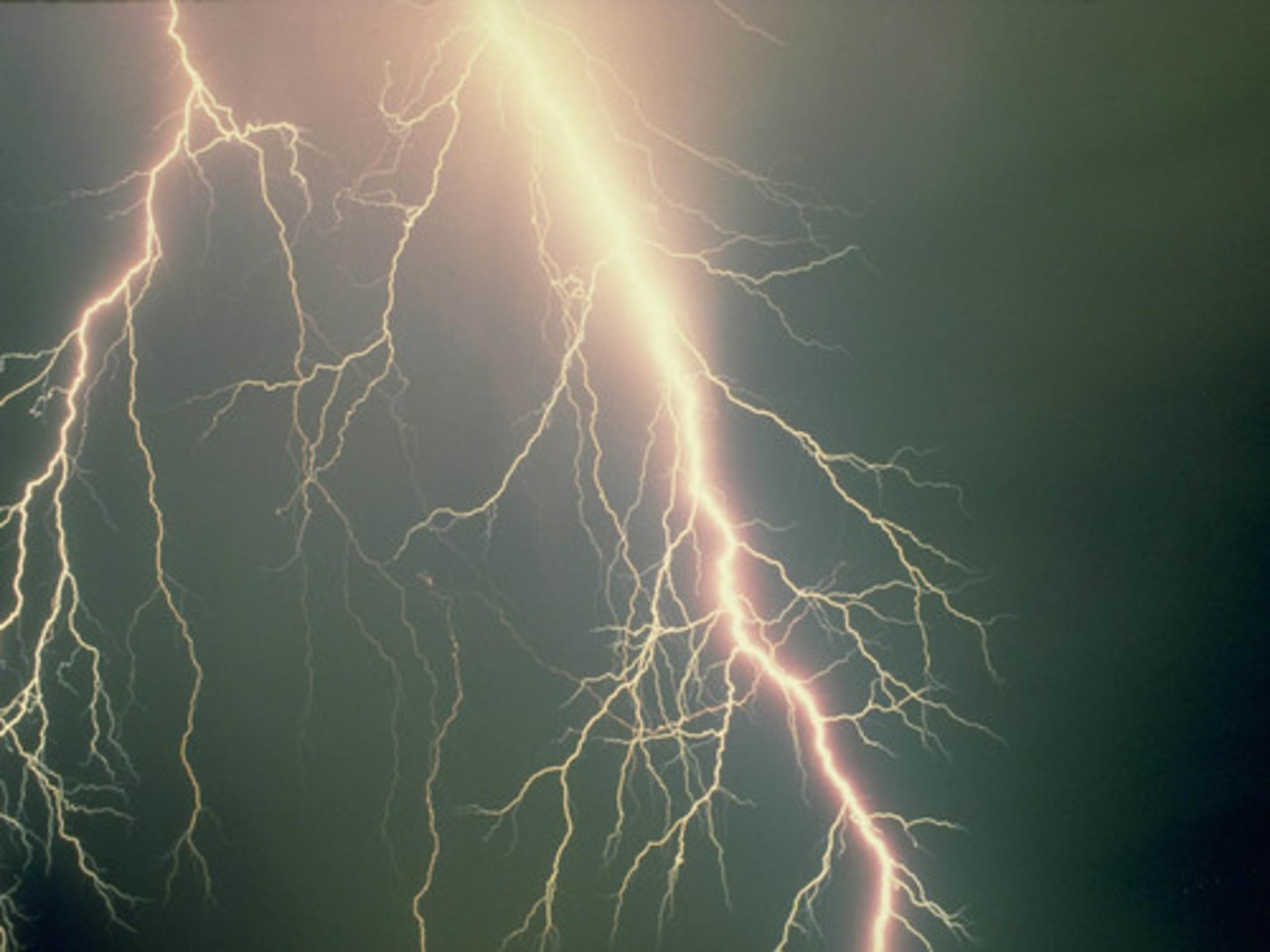 foto: naked-science.ru