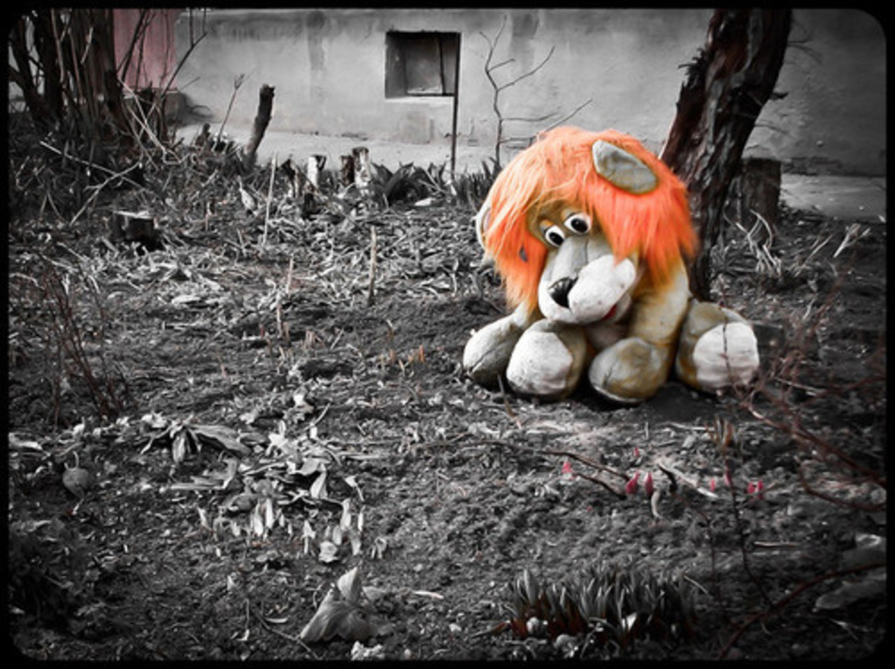 foto: livejournal.com