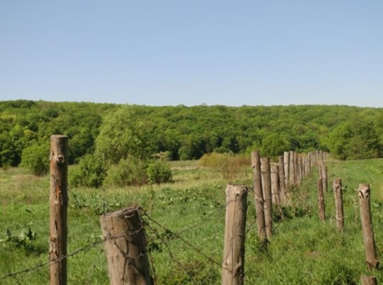фото: wikimapia.org